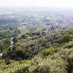 Borgo Dei Gigli 팜스테이